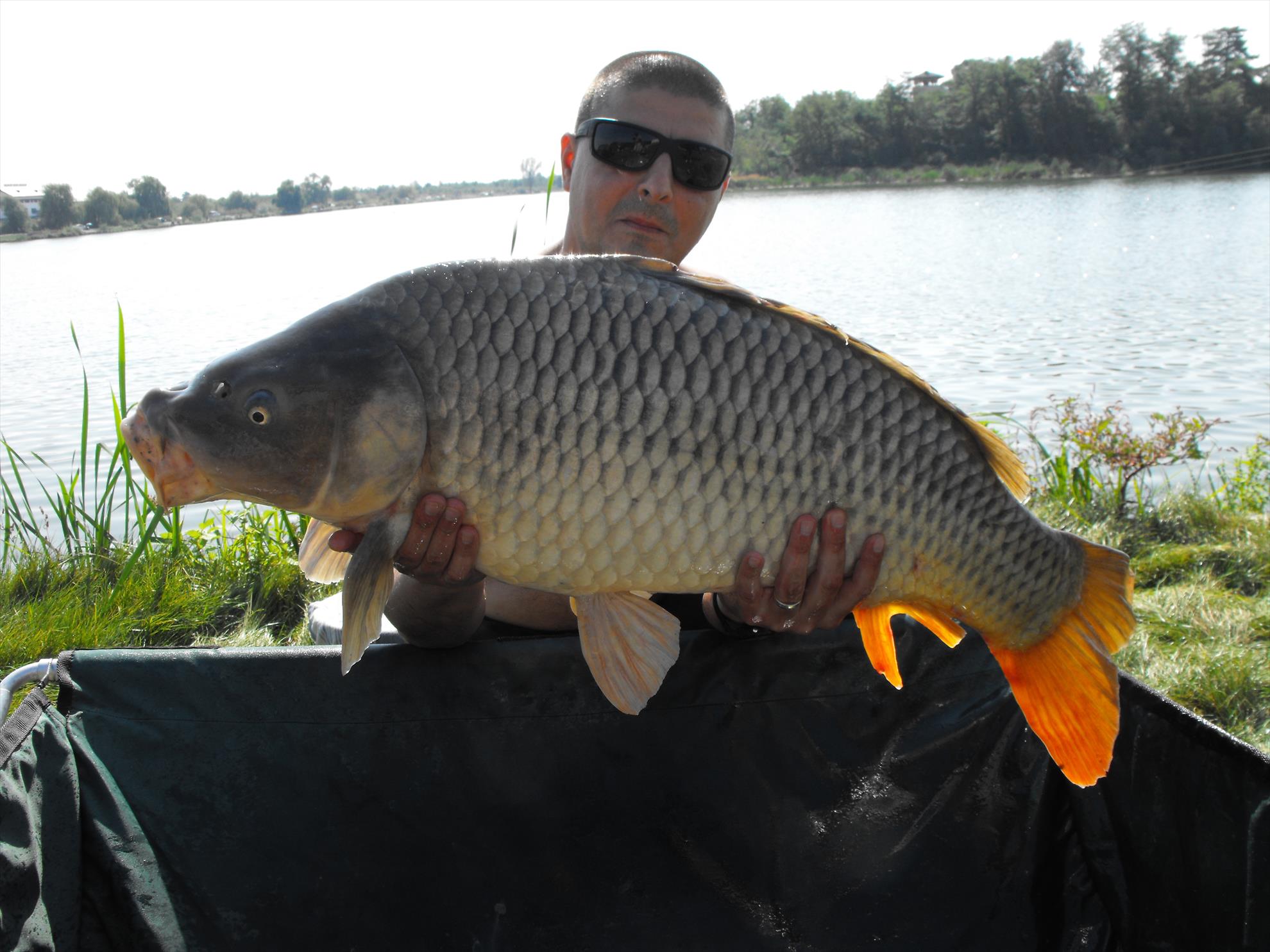 Hermes Peris 19 - 20 septembrie 2014 - dscf1013.JPG